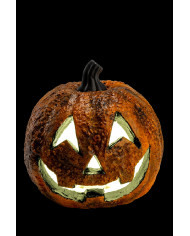 Zucca decorativa con luci diam.cm.16 ca. (batterie incluse) con cartellino/etichetta