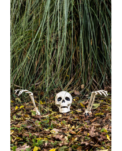 3 huesos esqueleto con piquetas sobre cartoncillo