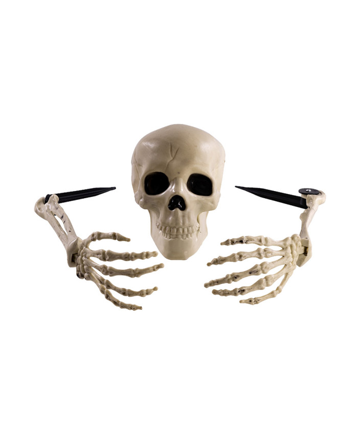 3 skeleton bones with pickets on card