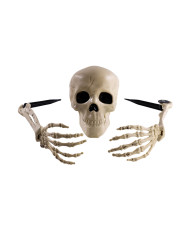 3 os squelette avec piquets, sur papier cartonné