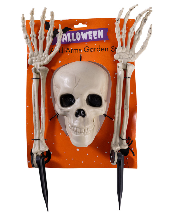 3 Skelettknochen mit Pflöcken auf Pappkarton