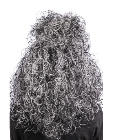 Peluca bruja blanco y negro en estuche