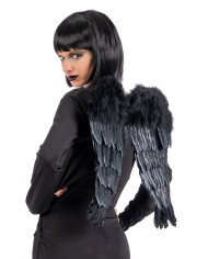 Ali nere in piuma h.cm.50x45 ca. in busta con cavallotto