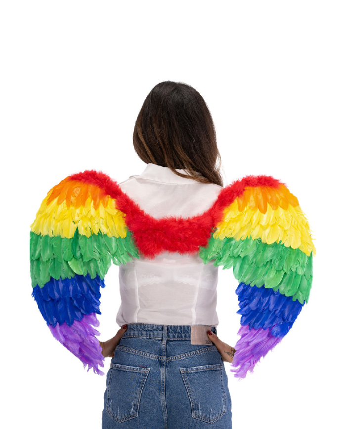 Rainbow wings in feathers h.cm. 80x55 in bag