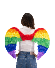 Alas de plumas arco iris de unos 80 x 55 cm de altura, en bolsa