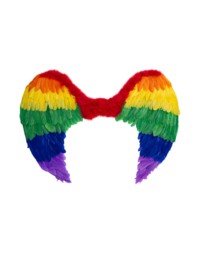 Ailes en plumes arc-en-ciel h. env. 80x55 cm dans un sachet