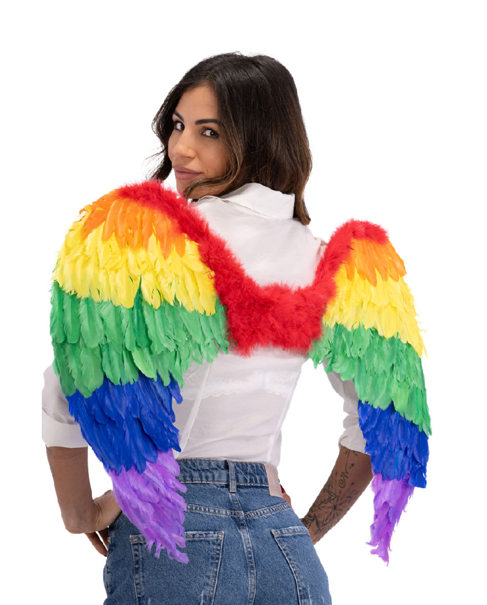 Rainbow wings in feathers h.cm. 80x55 in bag
