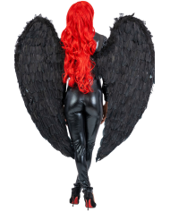 Black feather wings h.cm. 120x120 in bag