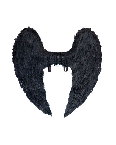 Ailes noires en plumes h. env. 120x120 cm dans un sachet