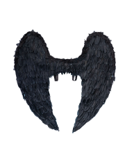 Black feather wings h.cm. 120x120 in bag