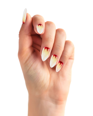 Faux ongles adhésifs félins dans une boîte