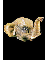 Elephant Mask In Pbh