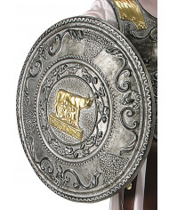 Roman Shield