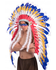 Beautiful feather diadem for a night of magic rites and