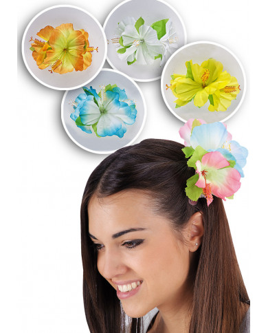 Hairslide Hawaii In Pbh, Ass.Col.