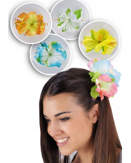 Hairslide Hawaii In Pbh, Ass.Col.