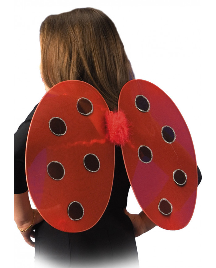 Lady Bird Wings In Pbh, H.Cm.30X40