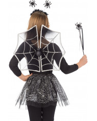 Set consisting of wings of h.cm.38x43 in black veil decorated