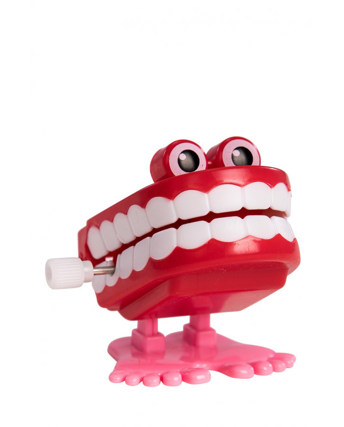 Spring Teeth In Display Box