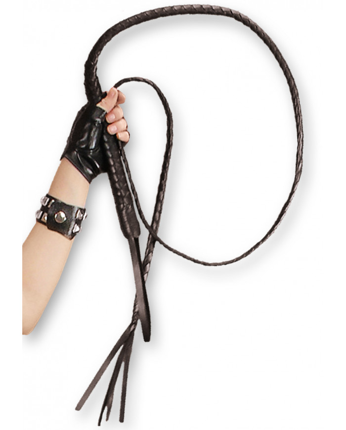 Whip In Pbh, Length Cm.180