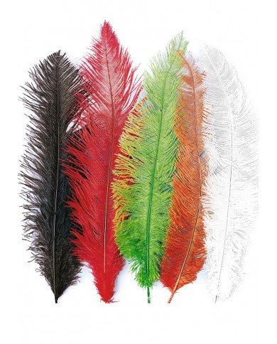 5 piume di struzzo, vendute in colori assortiti, lunghe circa