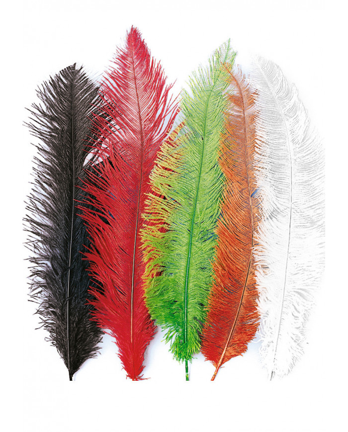 5 piume di struzzo, vendute in colori assortiti, lunghe circa