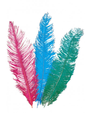 3 Ostrich Feathers In Pbh, Cm.45-50, Ass.Col.