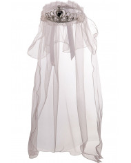 Veil with crown, ideal accessory for hen parties, perfect to
