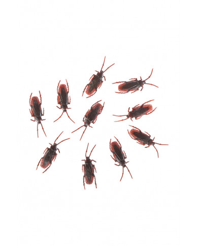 Pack of 1 plastic cockroaches long cm.7. With this realistic