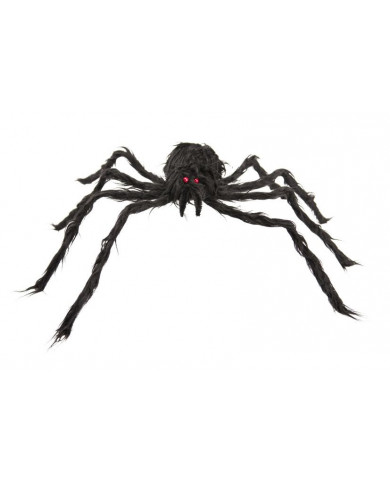 Black hairy spider with diameter cm.6. It has two small red