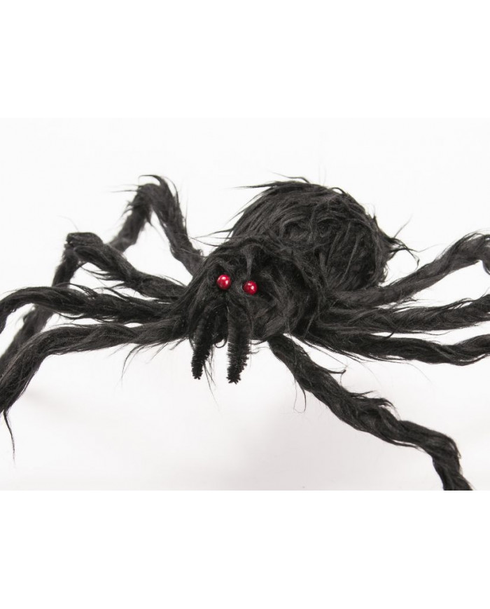 Black hairy spider with diameter cm.6. It has two small red