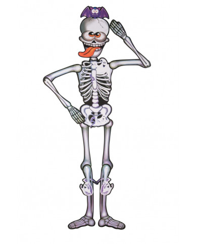 Poster depicting a skeleton of cm.15, with folding arms and