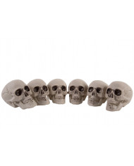 6 skulls, high cm.7, to decorate the small horror angles and