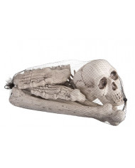 12 bones, to decorate the small horror angles and Halloween