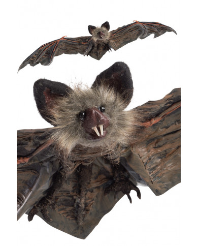 Hanging bat in plastic with a wingspan of cm.65. An article