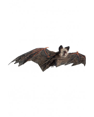 Hanging bat in plastic with a wingspan of cm.65. An article