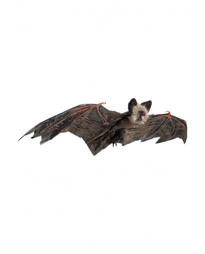 Hanging bat in plastic with a wingspan of cm.65. An article
