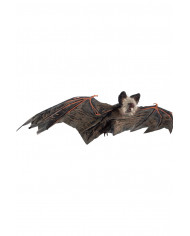 Hanging bat in plastic with a wingspan of cm.65. An article