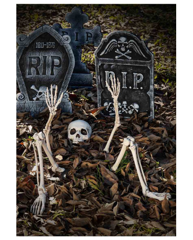 Set of 5 life-size plastic bones, human skeleton parts with