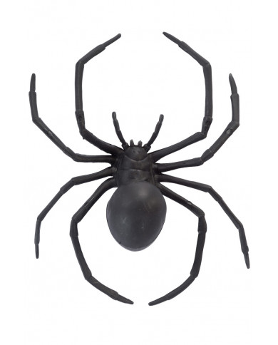 Spider in black plastic with a diameter of cm.15. With this