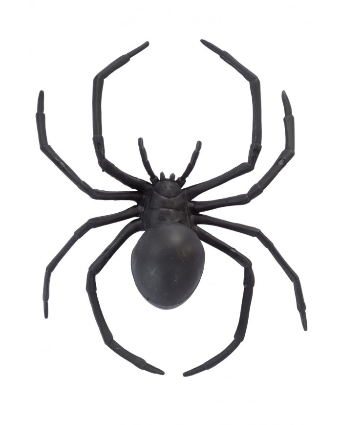 Spider in black plastic with a diameter of cm.15. With this
