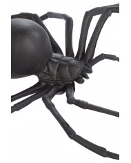 Spider in black plastic with a diameter of cm.15. With this