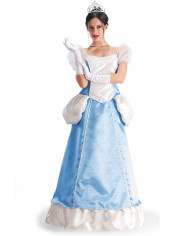 Cinderella costume with satin and glittered veil corset and