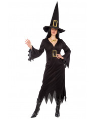 Witch costume composed of stretchy dress with hat, one size S-M.