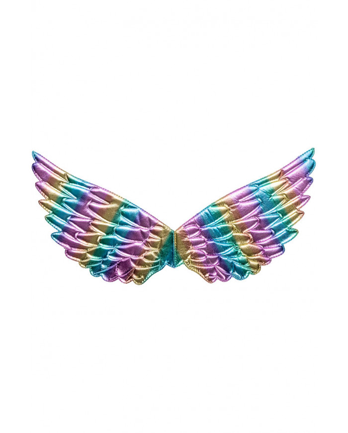 ailes d’ange en tissu multi-couleurs, longueur 44x18 cm environ dans une pochette avec carte d’en-tête