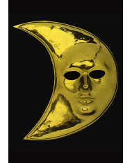 Metallized plastic mask for an original and shining disguise.