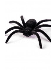 6 BLACK VELVET SPIDERS DIAM. CM 7 ON CARD