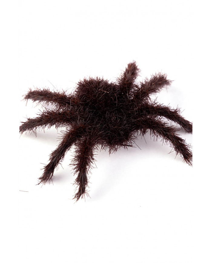 6 araignées poilues marron en plastique, diamètre 7 cm environ sur papier cartonné