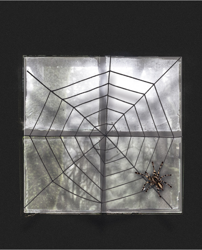 telaraña negra de chenilla de unos 150 cm. de diámetro en bolsa con solapa de cartón