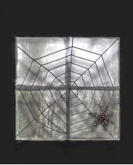 telaraña negra de chenilla de unos 150 cm. de diámetro en bolsa con solapa de cartón